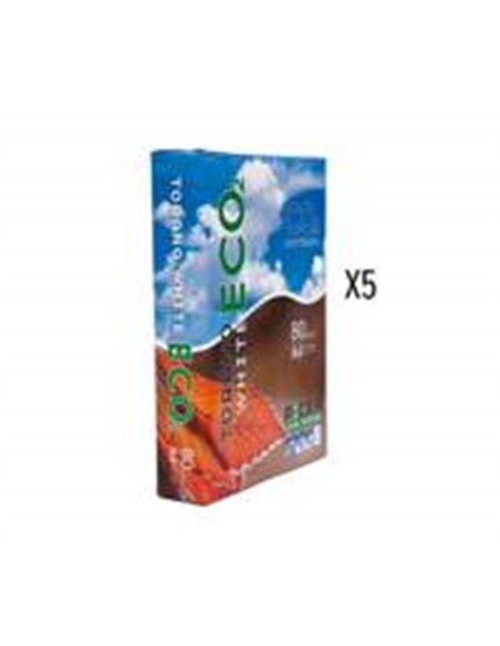 Printpapier A4 Torano White 80grams (5x500 Pack)