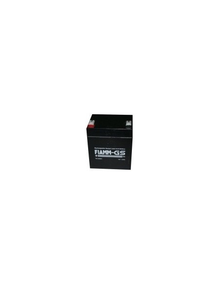 Loodaccu 12V 4.5aH (90 x 70 x 107 mm) Fiamm